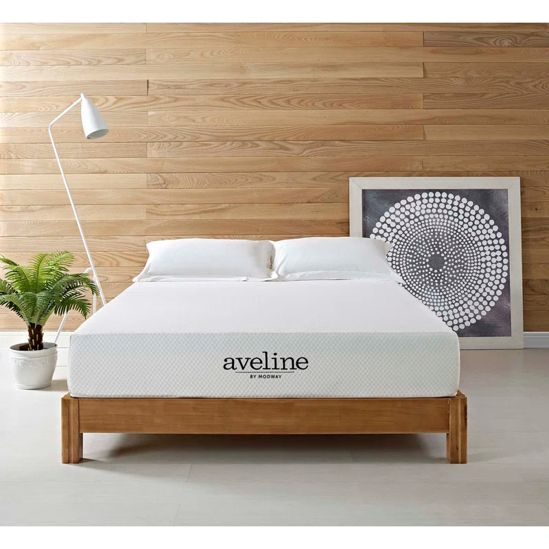 Modway Aveline Memory Foam Mattress & Reviews | Wayfair