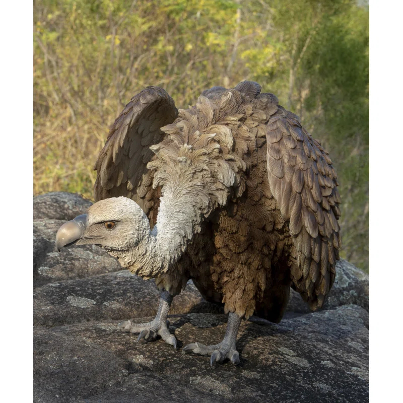 Hi-Line Gift Ltd. Medium Vulture