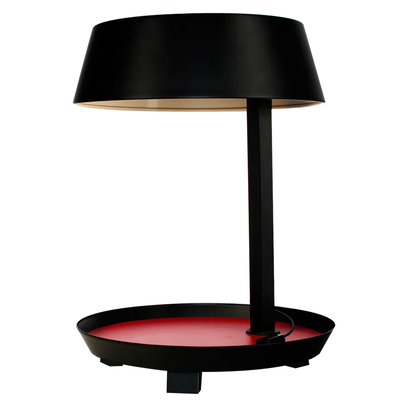 Seed Design Carry USB Table Lamp