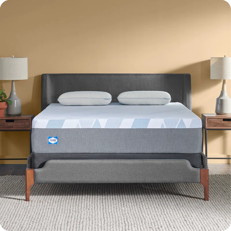 Sealy Sealy Dreamlife 12” Plush Foam Mattress-in-a-Box