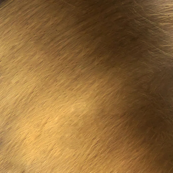 Alora Lighting Astrid 54.6875'' LED Novelty Floor Lamp