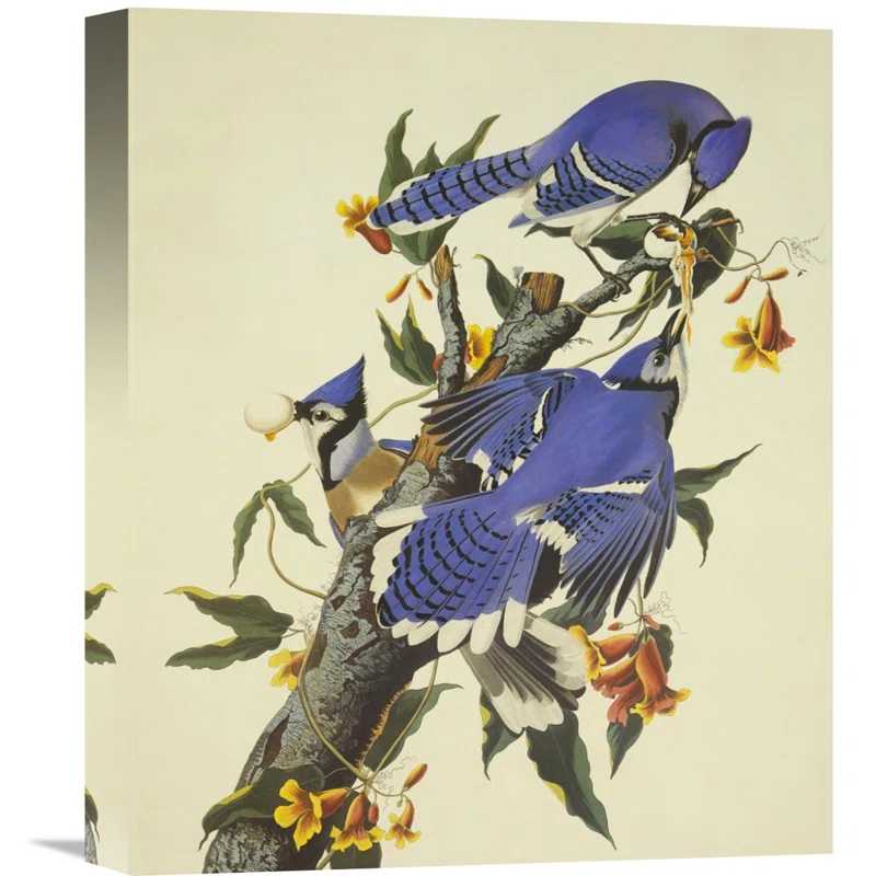 Global Gallery " Blue Jay "