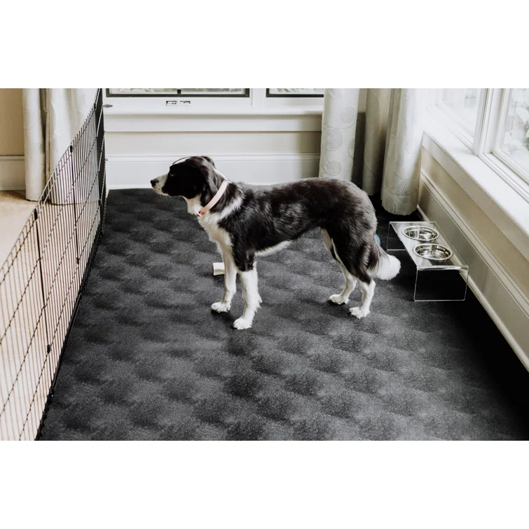 G-Floor Levant Pet Flooring Protector & Reviews | Wayfair