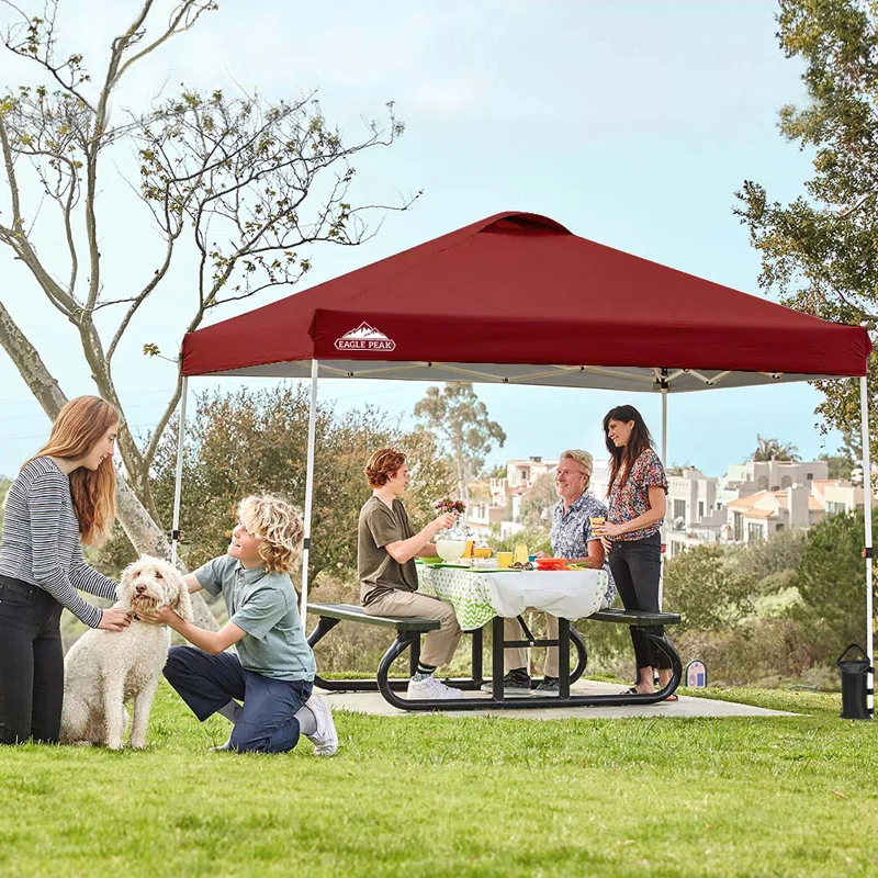 EAGLE PEAK Pop Up Canopies 10 Ft. W x 10 FT. D Metal Party Tent Canopy