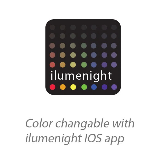 WAC Lighting LED Wall Light