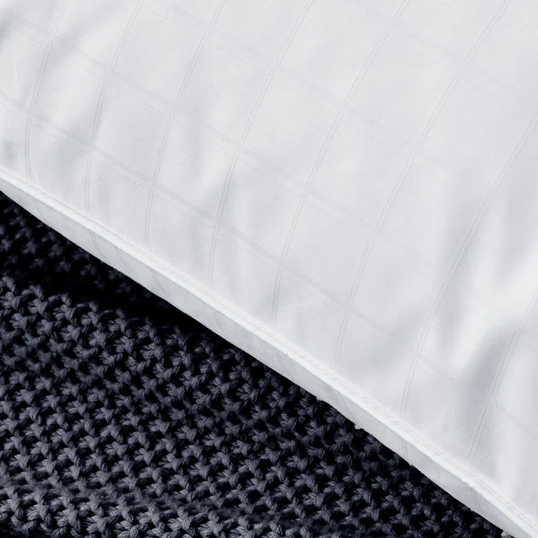 Alwyn Home Down Blend Plush Pillow (Set of 2)