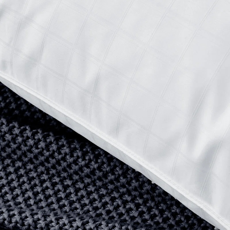 Alwyn Home Down Blend Plush Pillow (Set of 2)