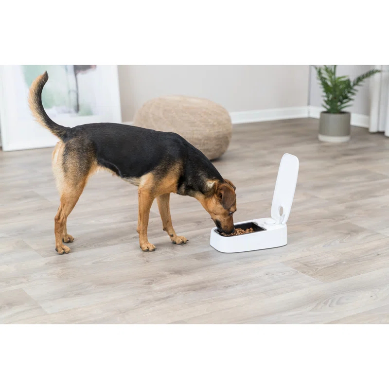 TRIXIE TRIXIE TX1 Automatic Food Dispenser, Single Serving, 48-Hour Timer, Battery Operated