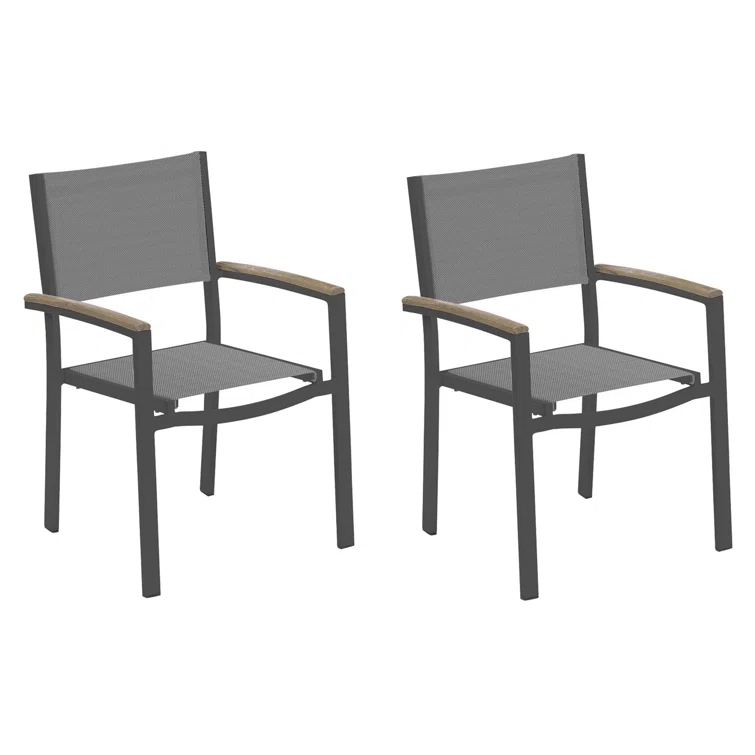 Hermes Indoor / Outdoor Dining Chair (Set of 2) - Gray and Carbon