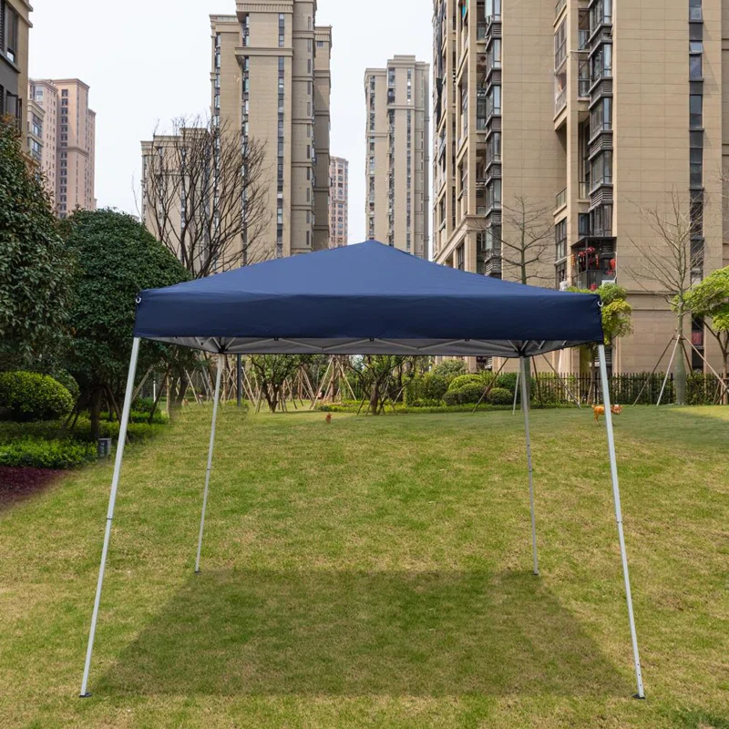 Winado 10 Ft. W x 10 Ft. D Steel Pop-Up Canopy