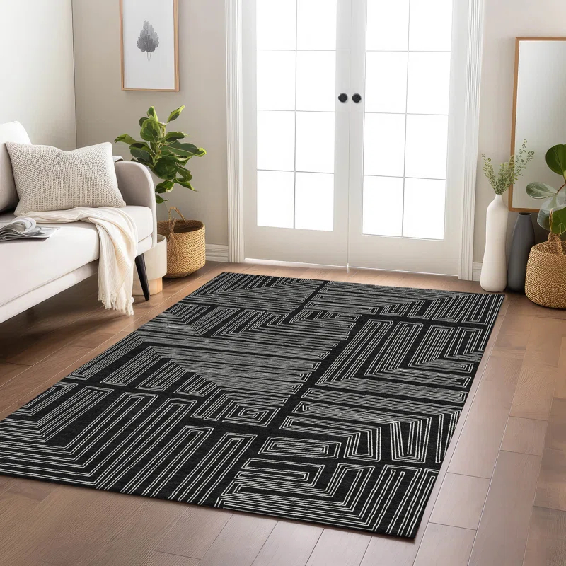 Machine Washable Indoor/Outdoor Chayden ACN1045 Black Rug
