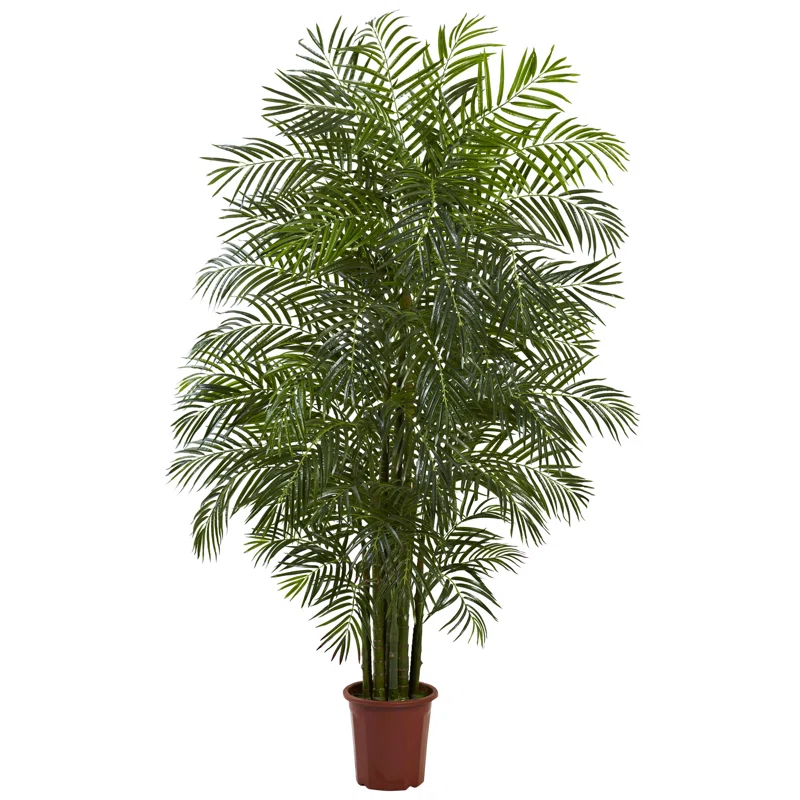 Birch Lane™ Palmier d'Areca Daphné 7,5 pieds résistant aux UV (intérieur/extérieur)