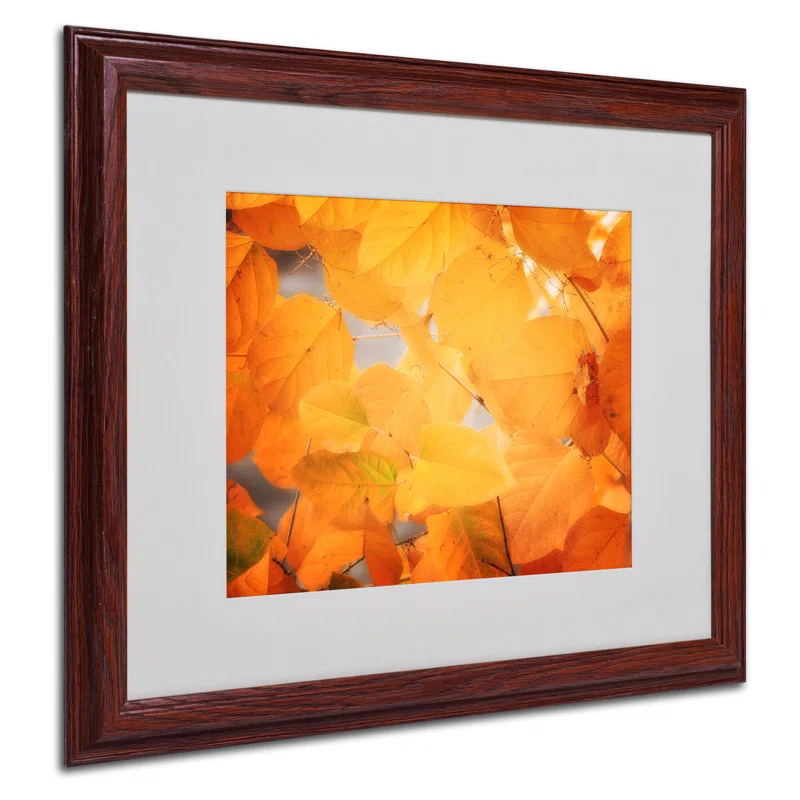 Trademark Fine Art " Seasonal Leaves " by Philippe Sainte-Laudy