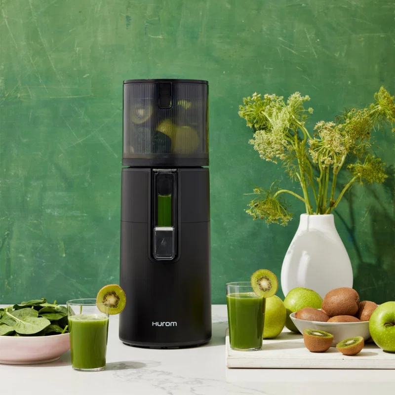 Hurom Hurom H400 Two Tone Easy Clean Slow Juicer