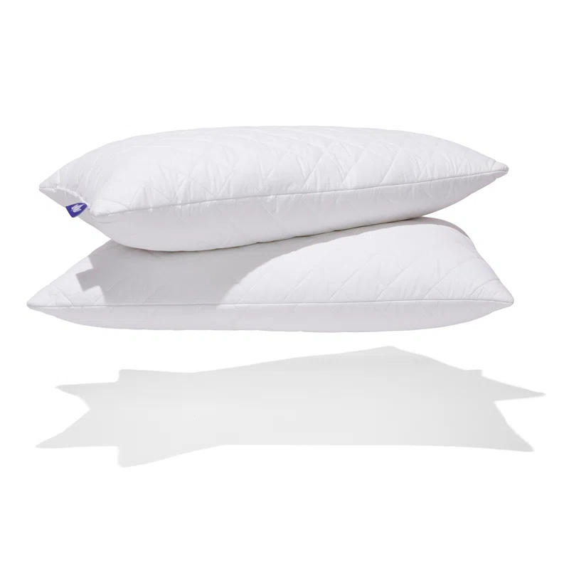Canadian Down & Feather Company Quilted White Goose Feather Pillow - 2 Pack (Set of 2)
