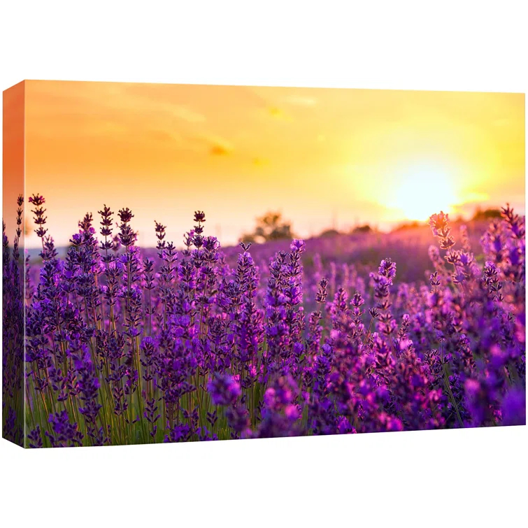 IDEA4WALL Flower Blossom " Lavender Flower Field At Sunset Floral Plants Photography Modern Art Rustic "