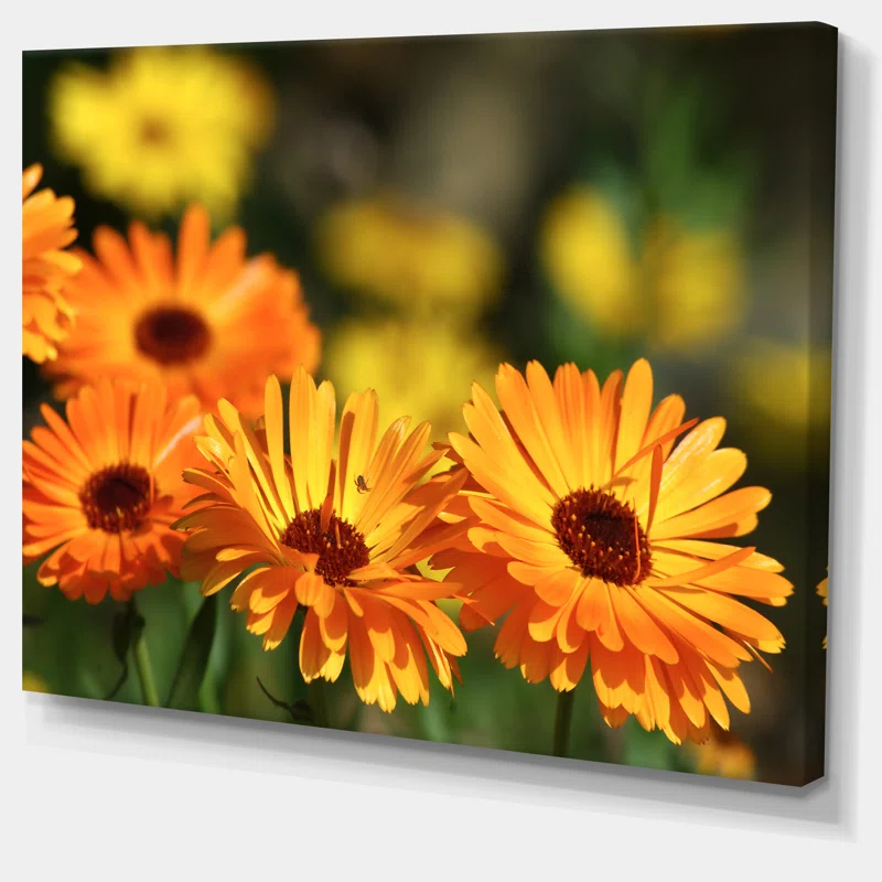 Design Art " Blooming Orange Marigold Flowers "