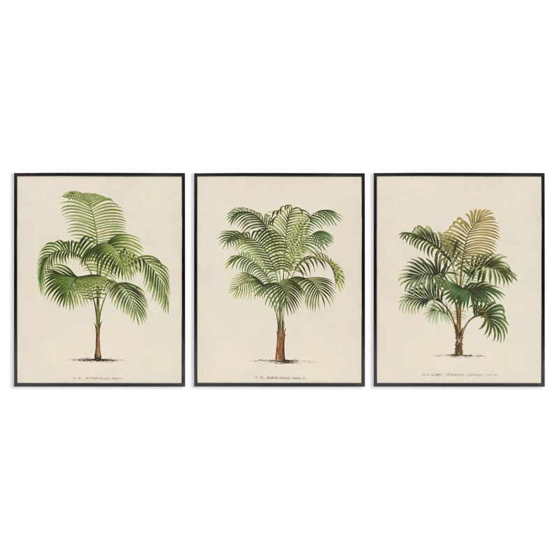 Stupell Industries Les Palmiers Botanical Trio 3 Piece Giclee Art Set by World Art Group