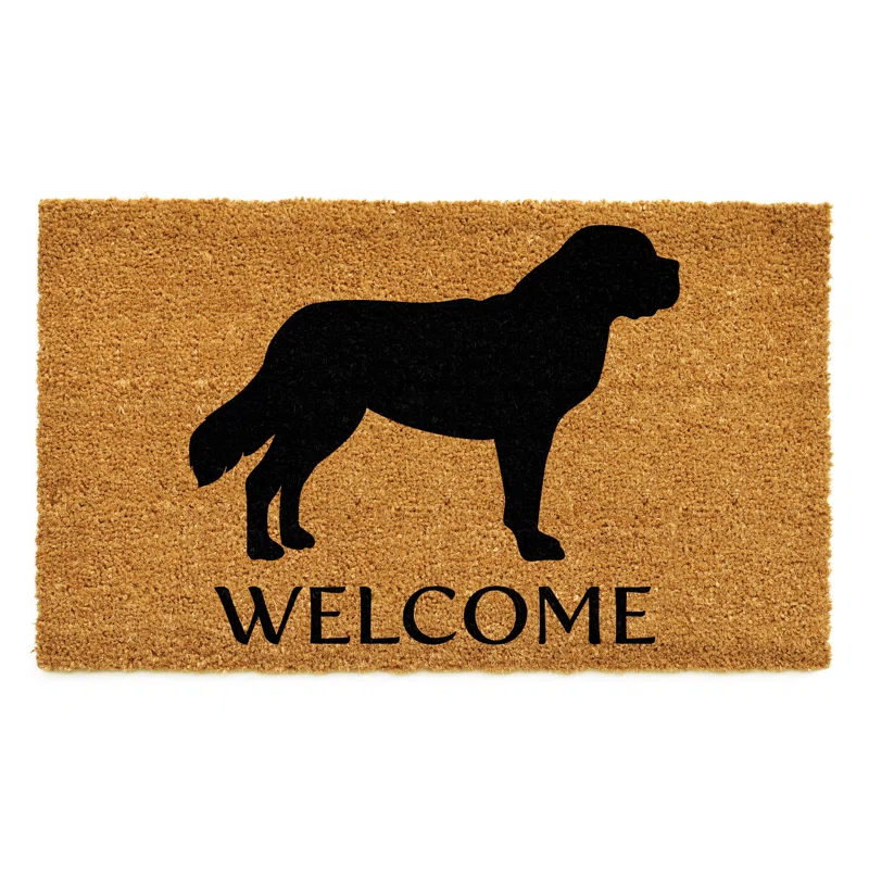 Red Barrel Studio® Non-Slip Indoor Doormat