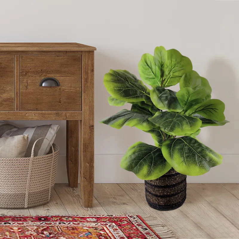 Primrue 24'' Faux Fiddle Leaf Fig Plant