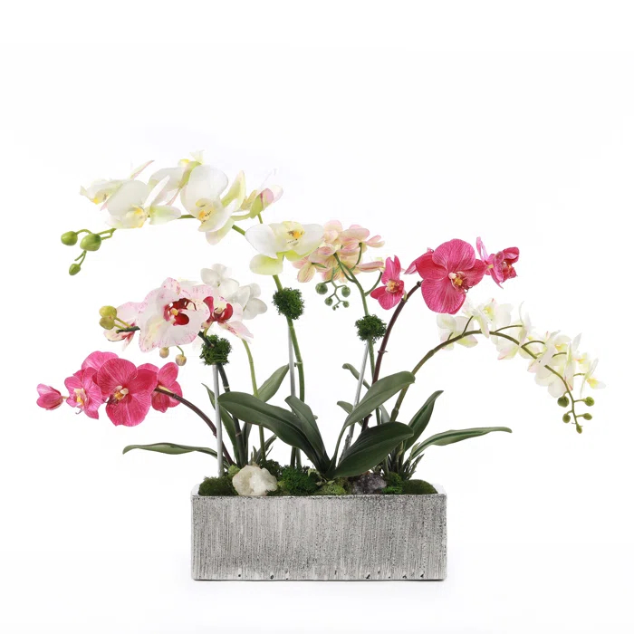 Jenny Silks Orchid Arrangement in Pot
