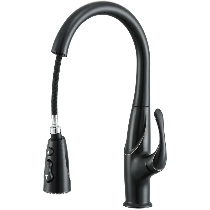 Ancona Eliya Pull Down Kitchen Faucet