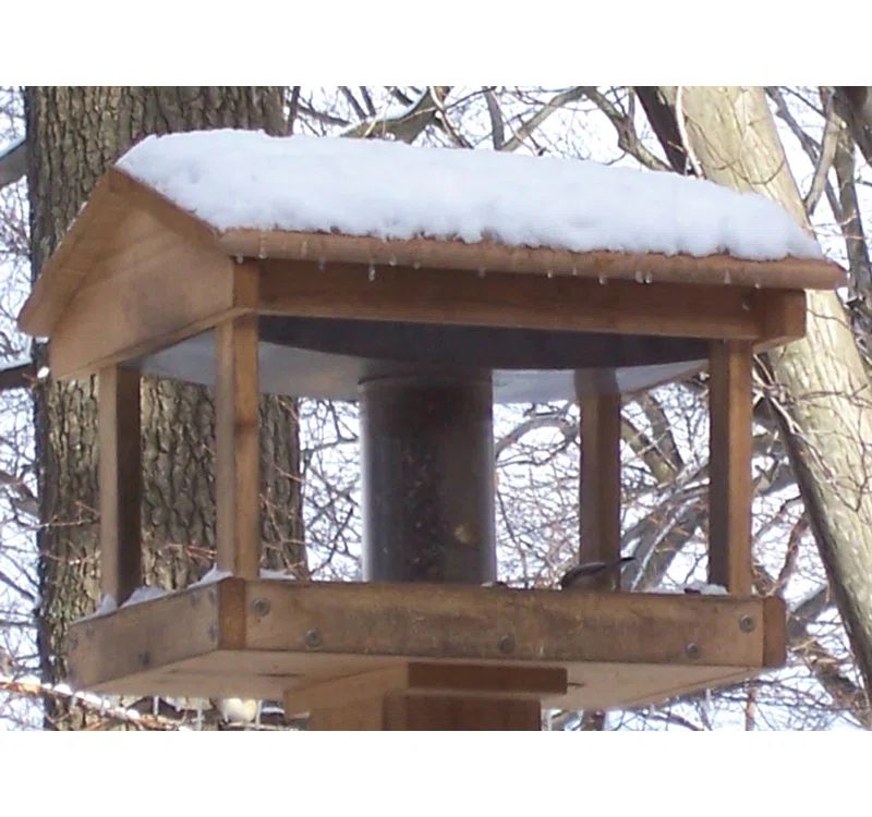 Stovall Hanging Hopper Bird Feeder