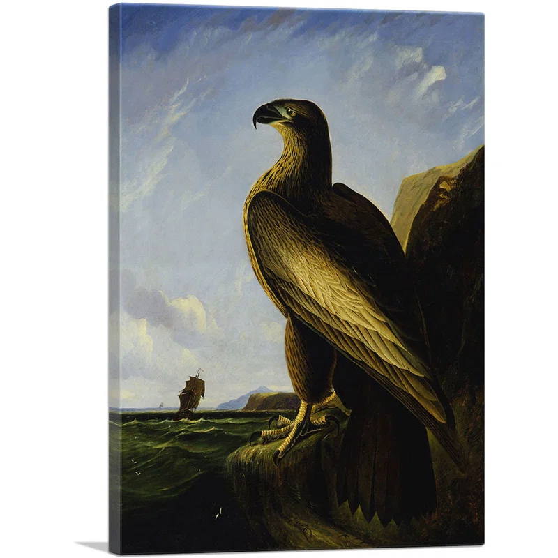 ARTCANVAS " Washington Sea Eagle " by James Audubon Painting Print