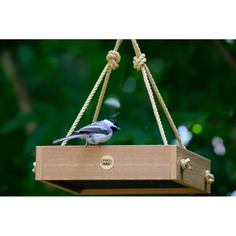 Birds Choice Birds Choice Modern Farmhouse Small Hanging Platform Bird Feeder