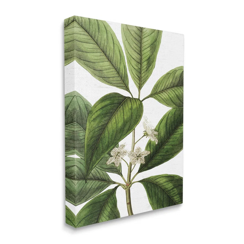 " Tristania Conferta Flower Large Leaf Vegetation Botanical Print " by Lettered And Lined