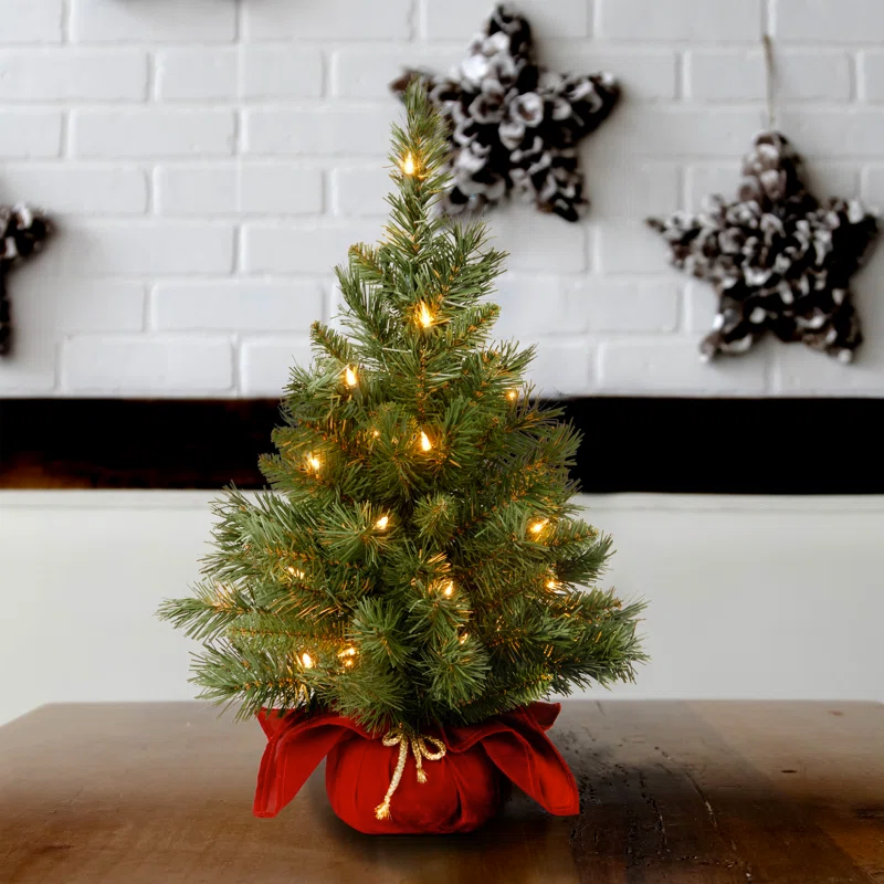 The Holiday Aisle® 2ft. Majestic Fir Tree with Clear Lights