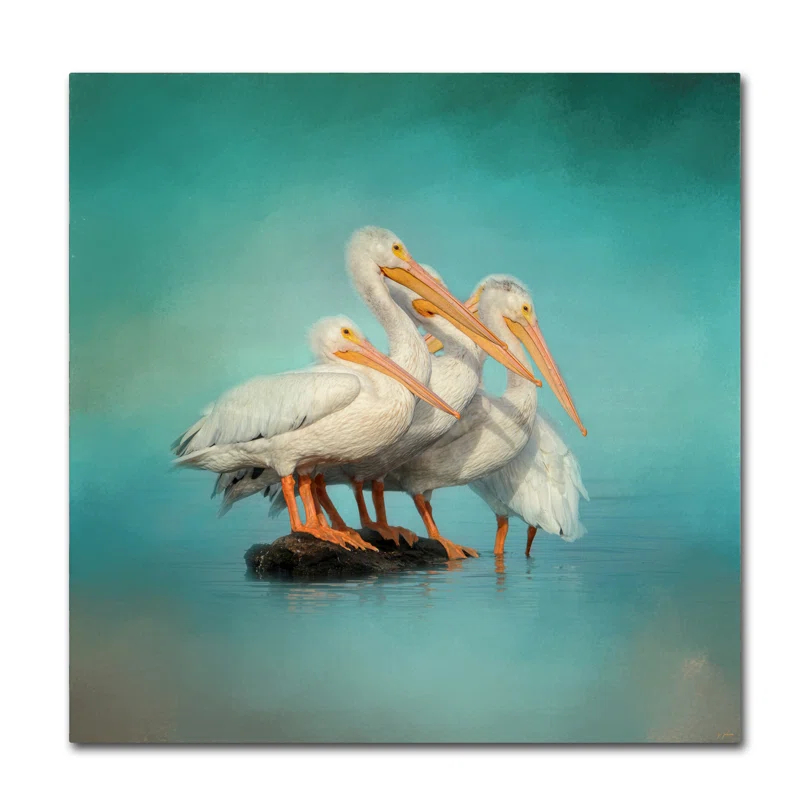 Trademark Fine Art Jai Johnson " We Are Family White Pelicans " by Jai Johnson