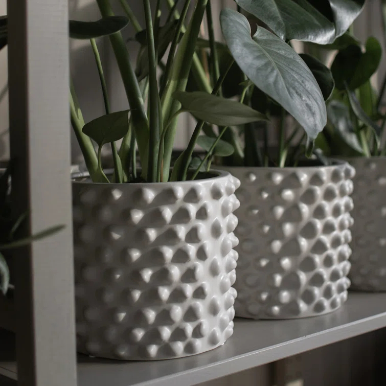 Cloudy Ceramic Pot Planter