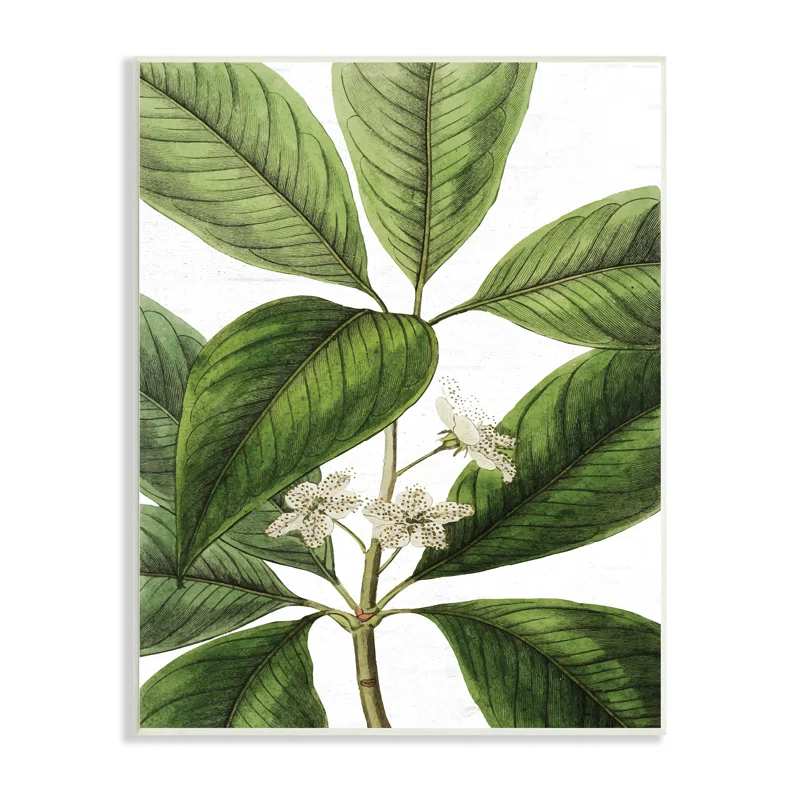 Stupell Industries " Tristania Conferta Flower Large Leaf Vegetation Botanical Print " by Lettered And Lined
