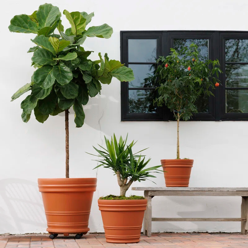 Bloem Rolled Rim Resin Indoor/Outdoor Planter Pot