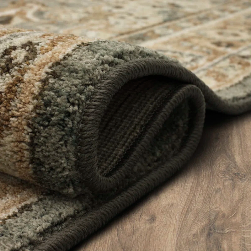 Karastan Euphoria Gray Traditional Ornamental Area Rug