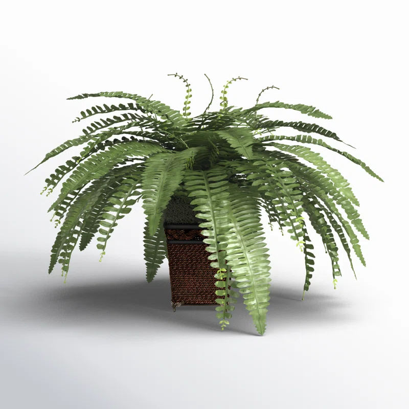 Birch Lane™ 23'' Faux Fern Plant in Wicker/Rattan Pot