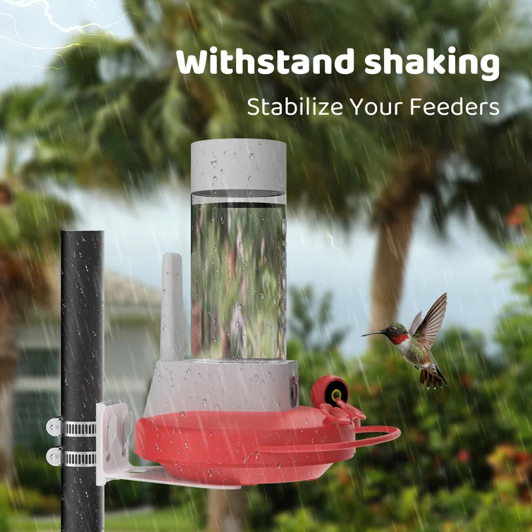 Birdfy NETVUE Birdfy Hummingbird Feeder with 2 Cameras Solar Powered - Dual Smart Cams, 2K HD Wireless for 2 Angels Close-up Bird Watching Outdoor, Instant Notifications (20Oz) (Hum Duo AI Solar)