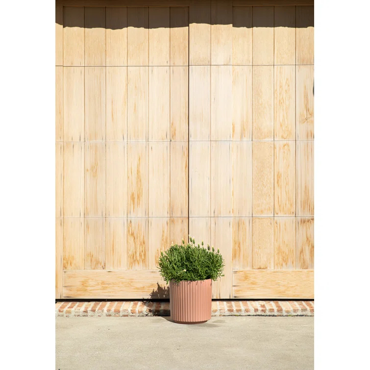 Veradek Demi Series Round Planter & Reviews | AllModern