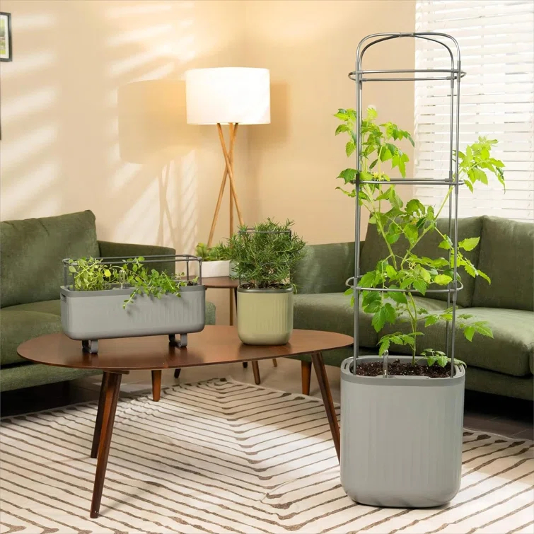 Vego Garden Mini Tomato Plastic Outdoor Pot Planter with Trellis