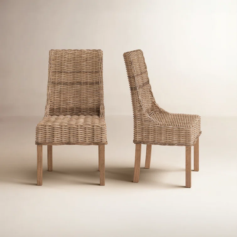 Armine Wicker Side Chair (Set of 2)