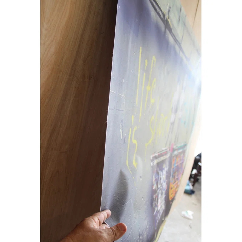 NIFAO Nifao Collection Humorous and Artistic Life Is Short Unframed Rolled Canvas Painting 52 x 62