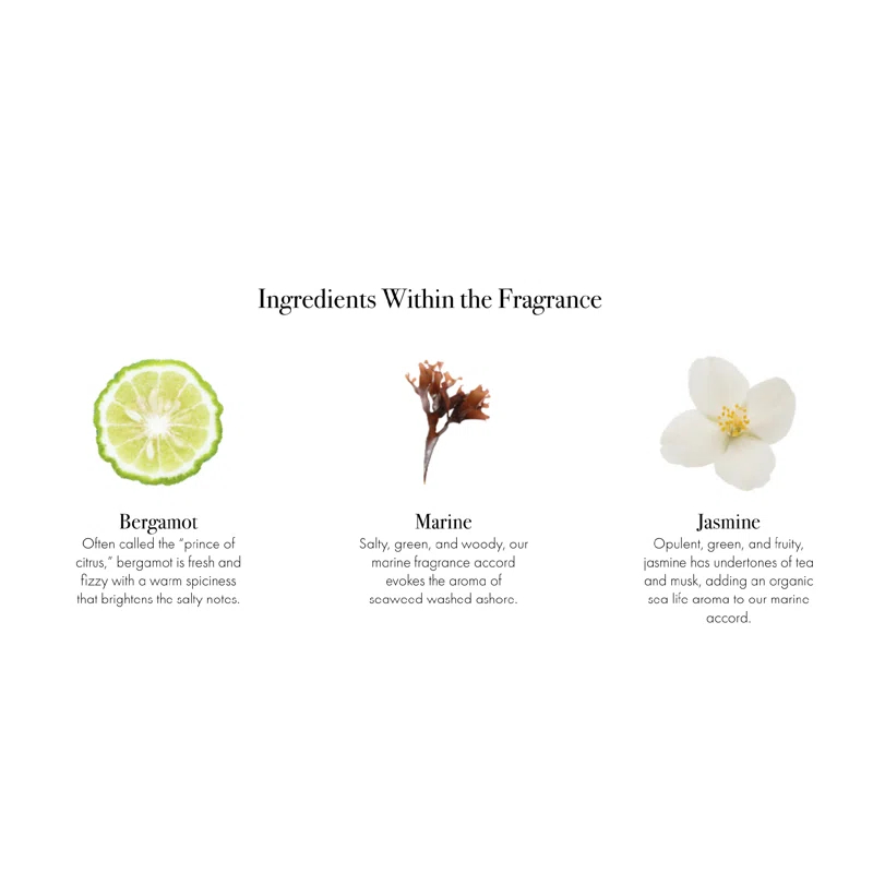 LAFCO New York Marine Signature Reed Diffuser | Wayfair