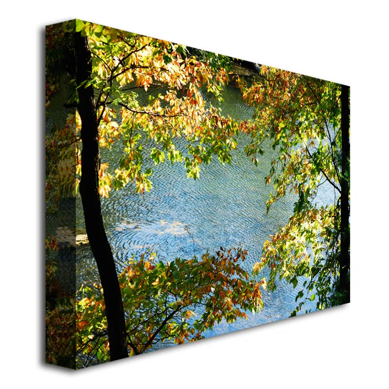 Trademark Fine Art "Early Fall Along the River" by Kurt Shaffer Framed Graphic Art on Wrapped Canvas