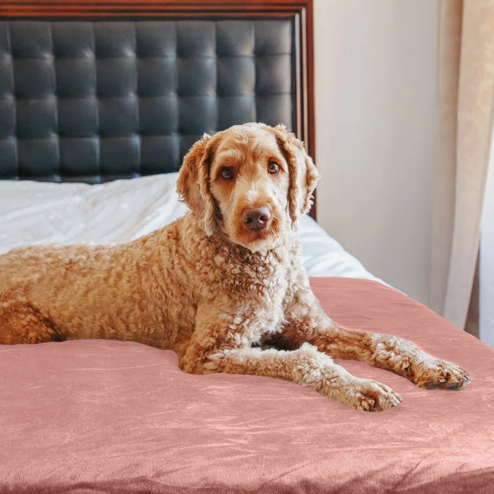 Petmaker PETMAKER 60x70in, 60x80in, 80x100in Water-Resistant Dog Blanket