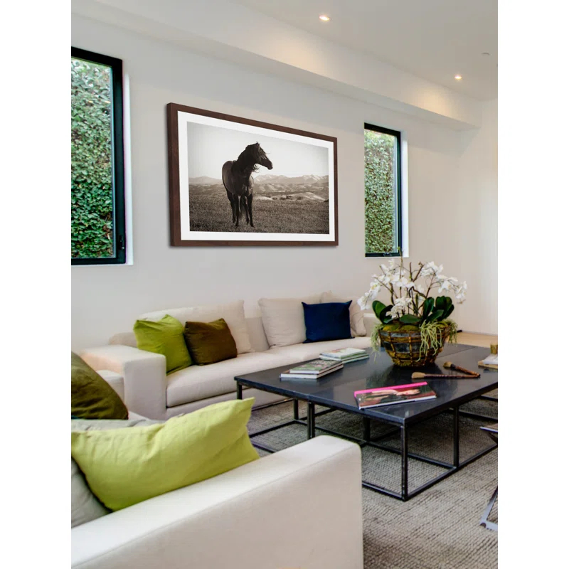 Marmont Hill "Horse in Wind" Framed Print