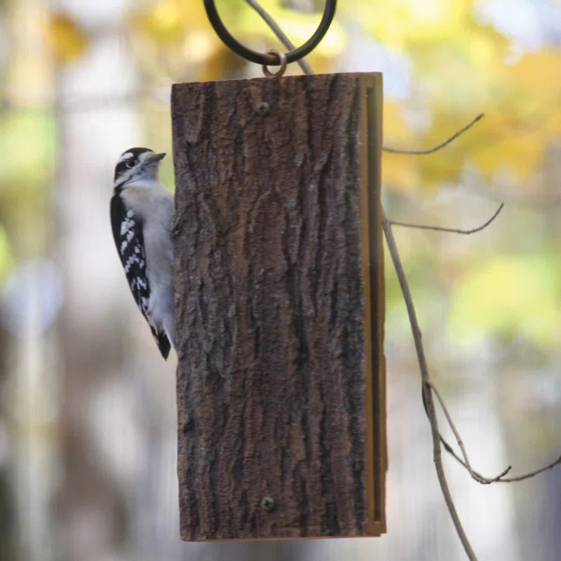 Birds Choice Spreadable Suet Feeder for Woodpeckers
