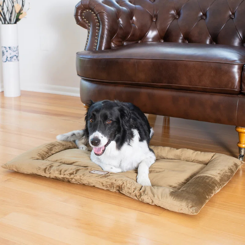 Armarkat Velvet Pet Bed