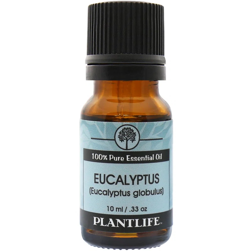 Plantlife Eucalyptus Essential Oil