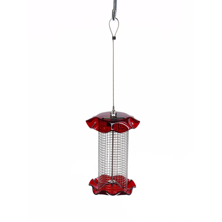 Birds Choice Small Sunflower Seed Forever Feeder with Stainless Steel Screen